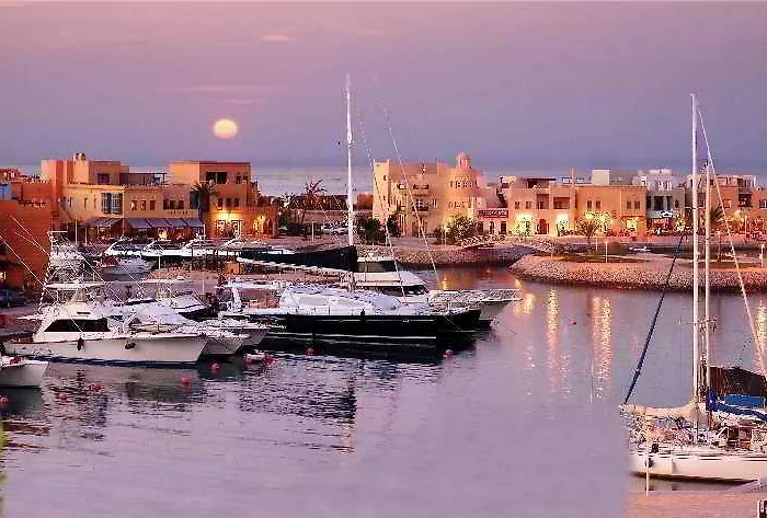 ترتلز إن